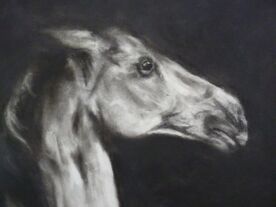 Studio Sessions: A Detailed Portrait of a Horse with Simon Postgate