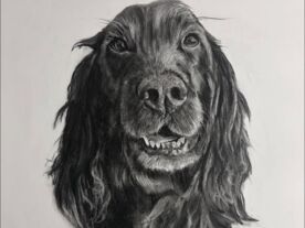 Studio Sessions: A Detailed Portrait of a Dog with Simon Postgate
