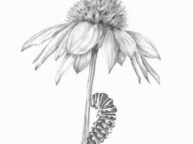 Drawing Course with ARTeStart (Monday)