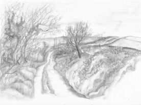 Drawing Course with ARTeStart (Tuesday)