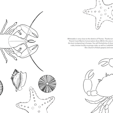 The Whitstable Seaside Guide