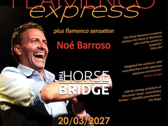 Flamenco Express