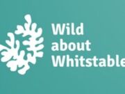 Wild about Whitstable Coastal Crafts