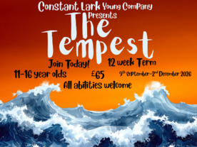 Constant Lark Acting School