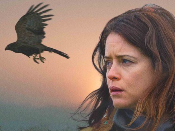 H is for Hawk (2026)