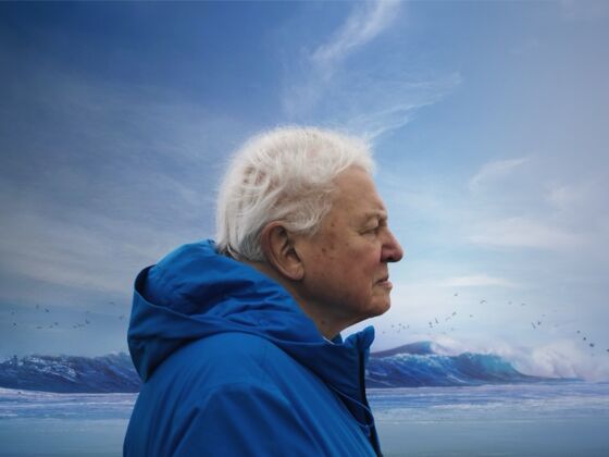 Wild about Whitstable presents Ocean